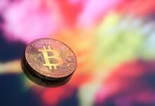 GoCryptoBet.com Bet: Top Crypto Betting & Fast Payouts 6 GoCryptoBet.com Bet: Top Crypto Betting & Fast Payouts