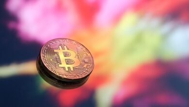 GoCryptoBet.com Bet: Top Crypto Betting & Fast Payouts 7 GoCryptoBet.com Bet: Top Crypto Betting & Fast Payouts