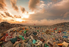 How Waste Pollution Impacts Rural Communities Today? 5 Waste Pollution