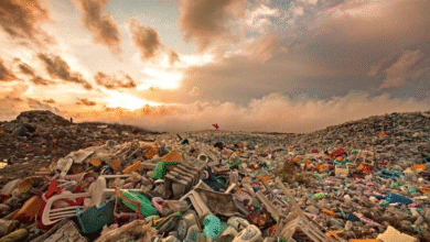 How Waste Pollution Impacts Rural Communities Today? 19 Waste Pollution