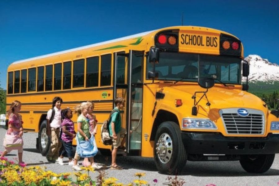 School Bus Travel