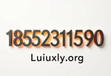 18552311590 Meaning: What You Should Know about This Number 2 18552311590