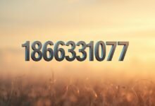 18663310773 Meaning: What You Should Know about This Number 7 18663310773