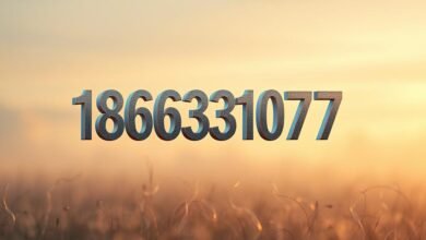 18663310773 Meaning: What You Should Know about This Number 6 18663310773